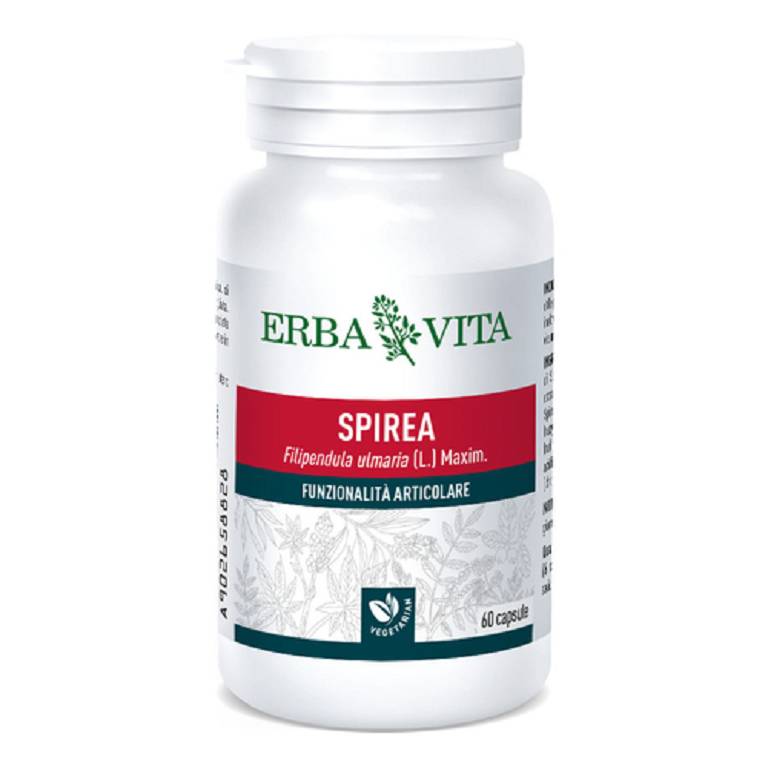 SPIREA ULMARIA 60CPS 400MG