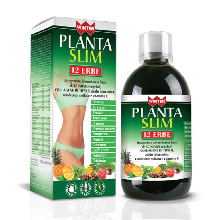 WINTER PLANTA SLIM 12ERBE500ML